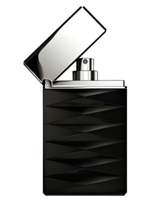 Giorgio Armani Attitude