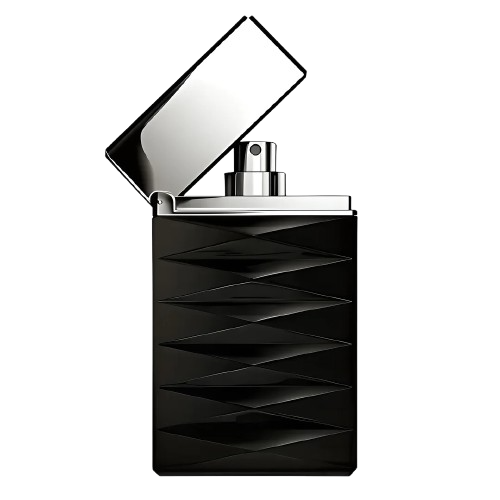 Giorgio Armani Attitude